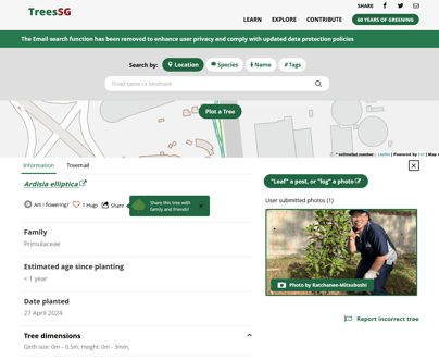 singapore_treeing_5